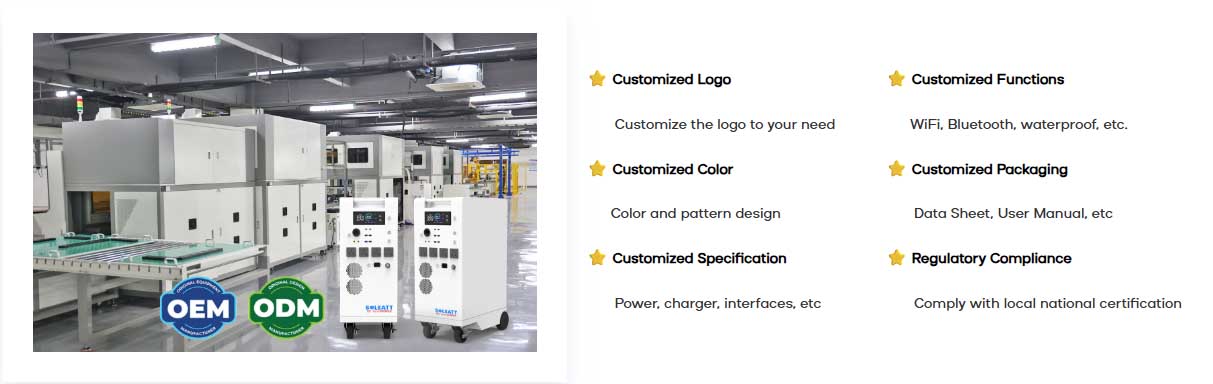 OEM battery pack